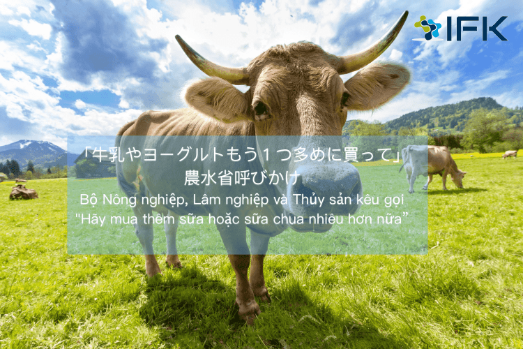 Dich Tin Tieng Nhat 4 Sua Nhat Ban Ifk1