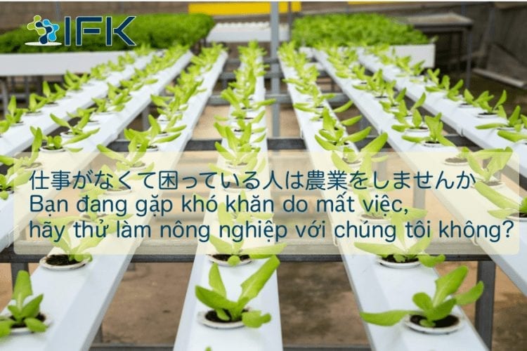 Dich Tin Tieng Nhat Lam Nong Nghiep Nhat Ban