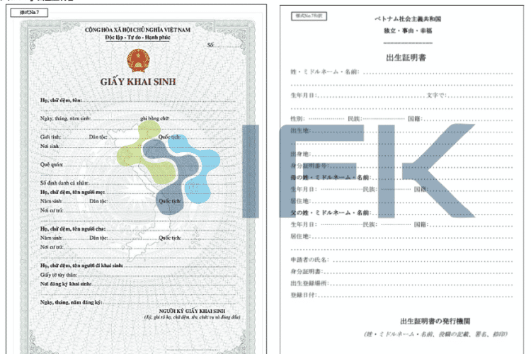 mau giay khai sinh tieng nhat ベトナム出生届