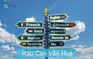 Dịch Quảng Cáo
