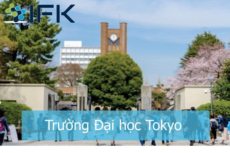 Trường Đại học, Cao đẳng ở Nhật Bản