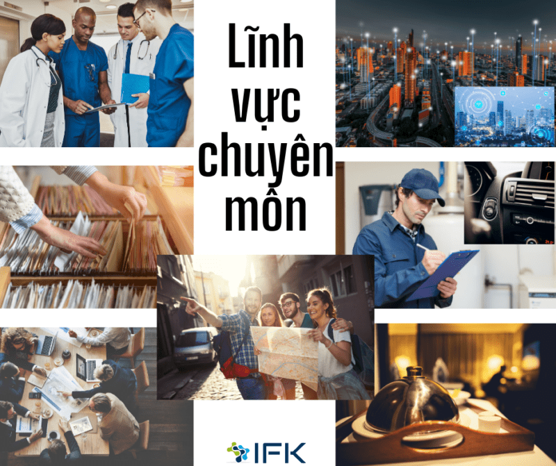 linh vuc chuyen mon trong dich thuat