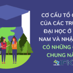 Cơ cấu tổ chức của các trường đại học ở Việt Nam và Nhật Bản có những điểm chung nào?