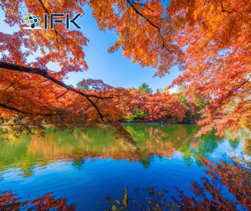 Momiji