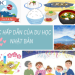SỨC HẤP DẪN CỦA DU HỌC NHẬT BẢN