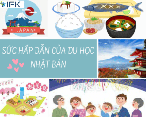 SUC HAP DAN CUA DU HOC NHAT BAN