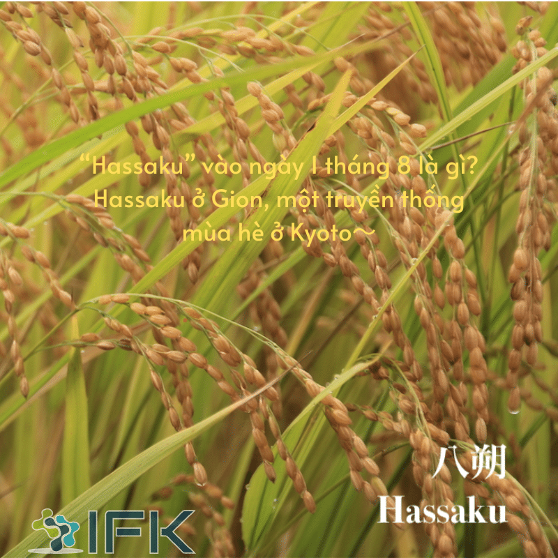 “Hassaku” vào ngày 1 tháng 8 là gì ～Hassaku ở Gion, một truyền thống mùa hè ở Kyoto～