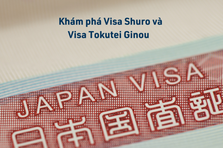 Khám Phá Visa Shuro và Visa Tokutei | Du Học Nhật Bản IFK