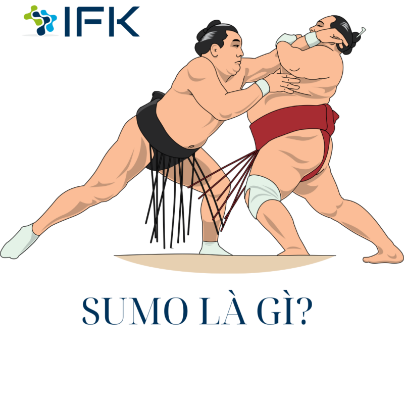 SUMO LÀ GÌ?