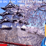 Vì sao du học Nhật Bản đang trở thành xu hướng?