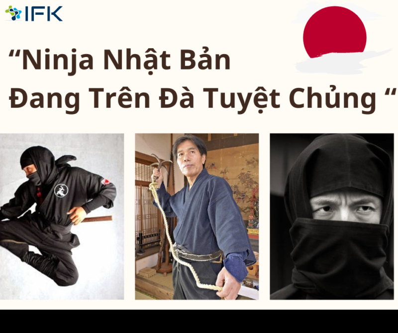 Ninja Nhật Bản đang trên đà tuyệt chủng