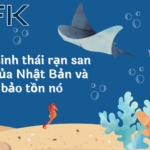Hệ sinh thái rạn san hô của Nhật Bản và việc bảo tồn nó