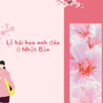 LỄ HỘI NGẮM HOA ANH ĐÀO Ở NHẬT BẢN