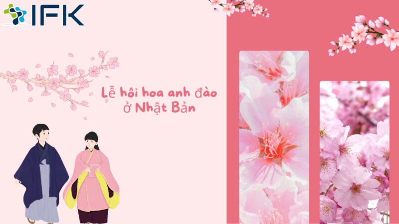 LE HOI HOA ANH DAO O NHAT BAN