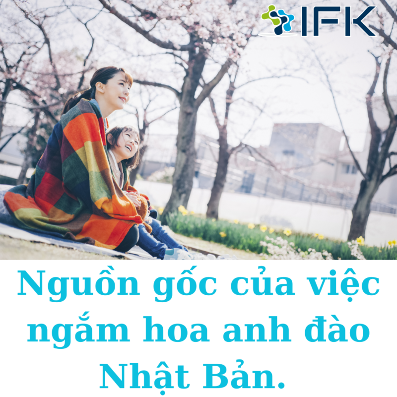 NGUON GOC CUA VIEC NGAM HOA ANH DAO NHAT BAN