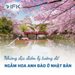 NHỮNG ĐỊA ĐIỂM ĐẸP NHẤT ĐỂ NGẮM HOA ANH ĐÀO TẠI NHẬT BẢN