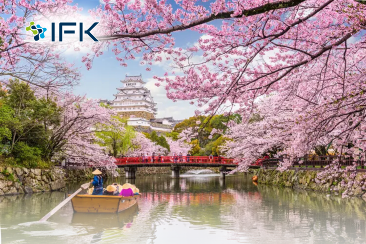 Những địa điểm lý tưởng để ngắm hoa anh đào ở Nhật bản