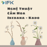 Nghệ thuật cắm hoa Ikebana – Kado