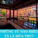 NHỮNG TỪ NÀO MIÊU TẢ LÁ MÙA THU?
