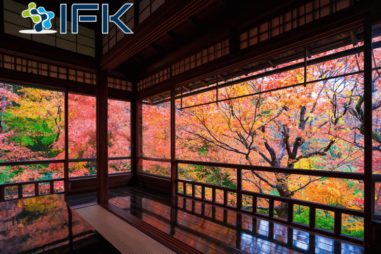 NHUNG TU NAO MIEU TA LA MUA THU