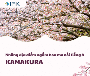 Những địa điểm ngắm hoa mơ nổi tiếng ở Kamakura