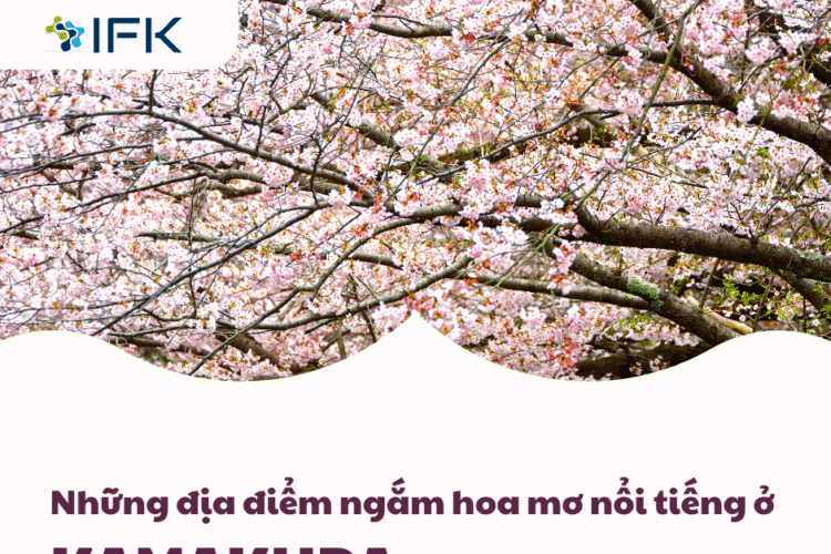 Những địa điểm ngắm hoa mơ nổi tiếng ở Kamakura