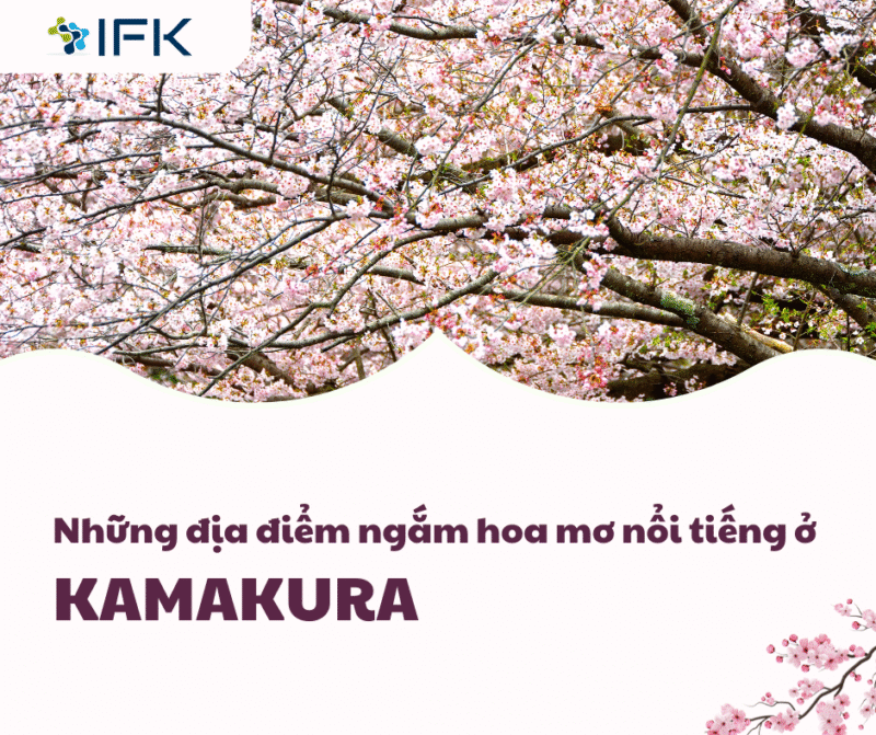Những địa điểm ngắm hoa mơ nổi tiếng ở Kamakura