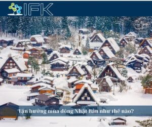 Tận hưởng mùa đông Nhật Bản như thế nào? Khí hậu, sự kiện, lễ hội, và địa điểm ngắm cảnh tuyệt đẹp