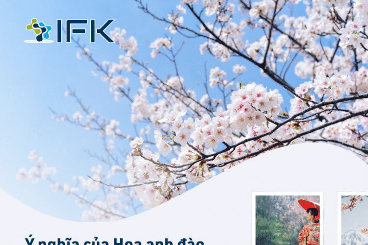 Y nghia cua hoa anh dao doi voi nguoi dan Nhat Ban