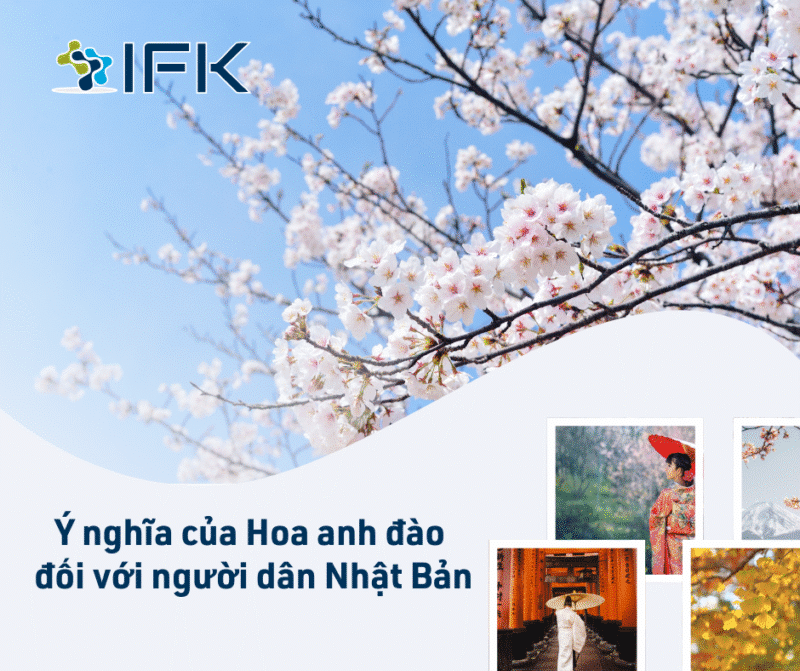 Ý nghĩa của hoa anh đào đối với người dân Nhật Bản. Giới thiệu ba loại anh đào nổi tiếng nhất của Nhật Bản 