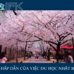 Sự hấp dẫn của việc du học Nhật Bản