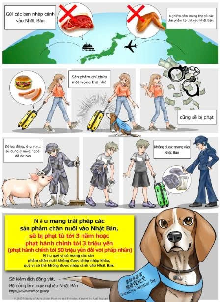 khong mang thit cac che pham tu thit quan ao do dung ban tiếp xuc voi vat nuoi trong vong bay ngay