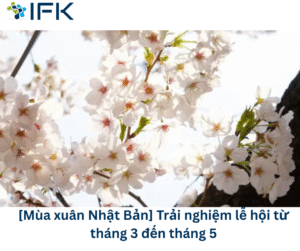 [Mua xuan o Nhat Ban] Tai sao khong trai nghiem cac le hoi