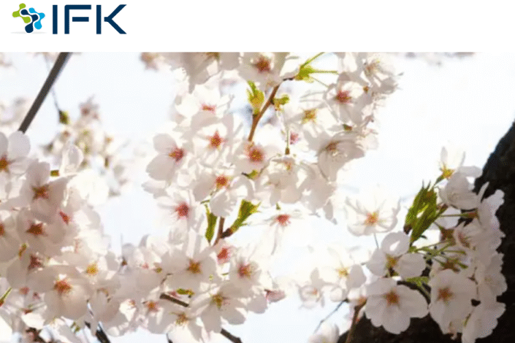 [Mua xuan o Nhat Ban] Tai sao khong trai nghiem cac le hoi