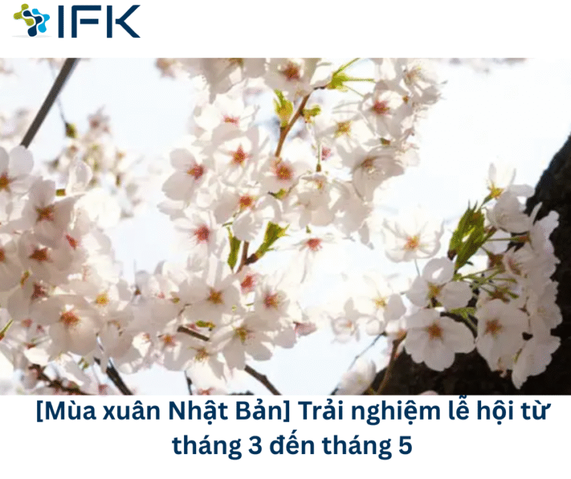 [Mùa xuân ở Nhật Bản] Tại sao không trải nghiệm các lễ hội