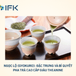 Ngọc Lộ (Gyokuro): Đặc trưng và bí quyết pha trà cao cấp giàu Theanine