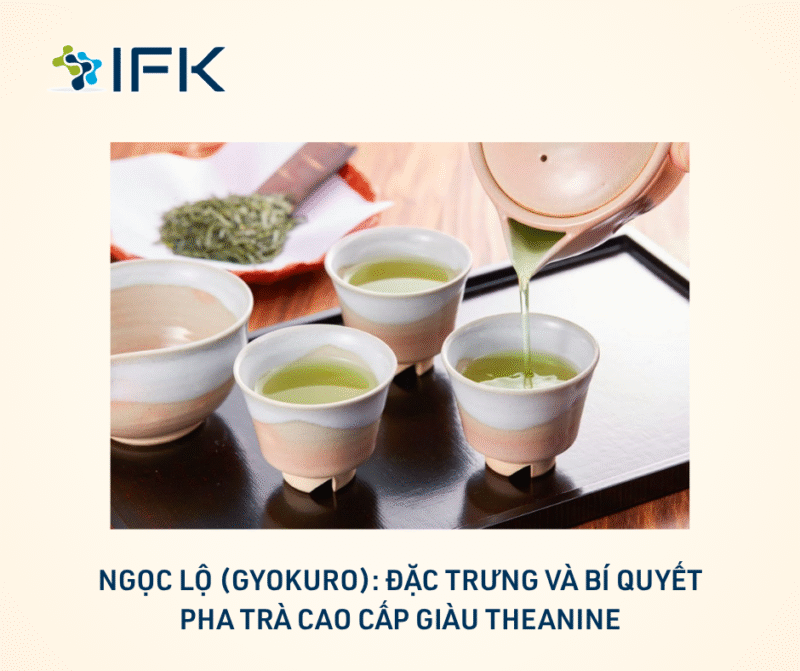Ngọc Lộ (Gyokuro): Đặc trưng và bí quyết pha trà cao cấp giàu Theanine