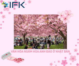 Van hoa ngam hoa anh dao o Nhat Ban