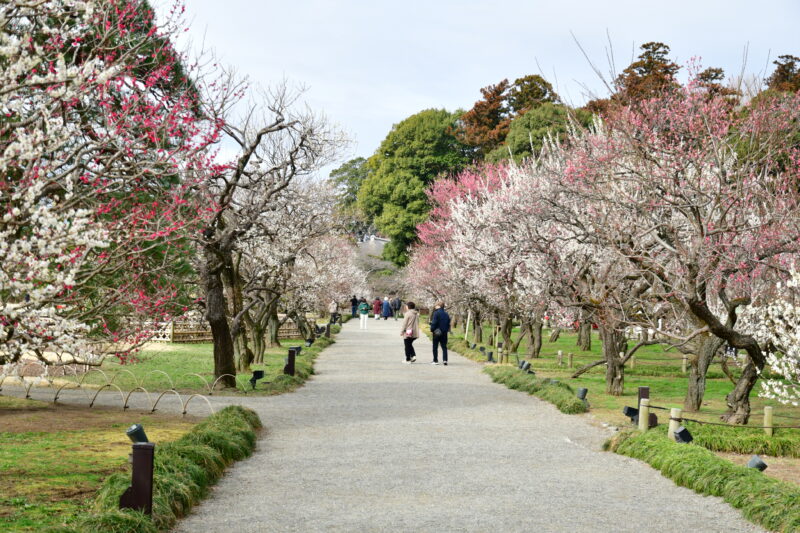Kairakuen Garden